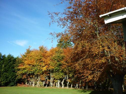 Willowbank House B&B