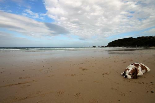 Chill-out Beach House @ Forster