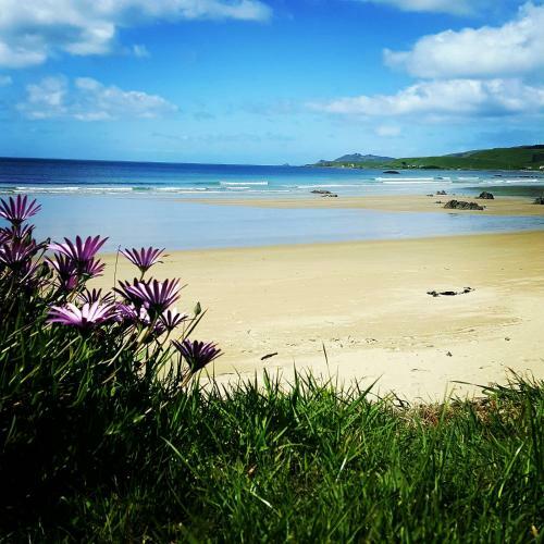 Kaka Point Spa Motel At Catlins