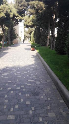 Apartment On H. Aliyev 101