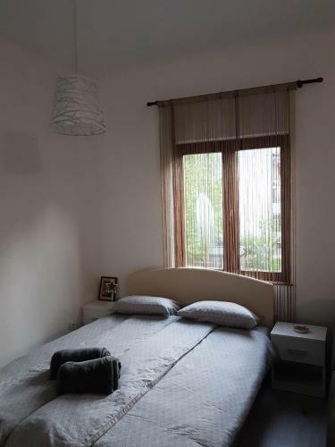 Urban Apartment & Hostel