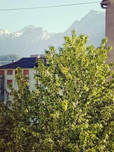 Urban Apartment & Hostel
