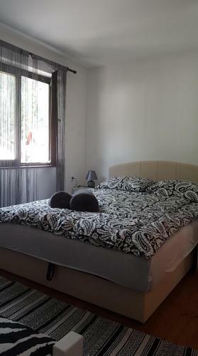 Urban Apartment & Hostel