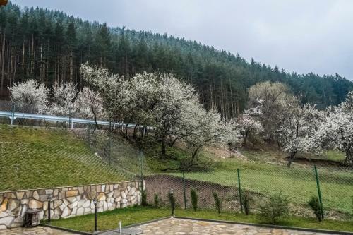 Hostal Mini Complex Rilski Terasi