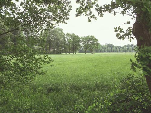 Holiday Home Het Ijsvogeltje