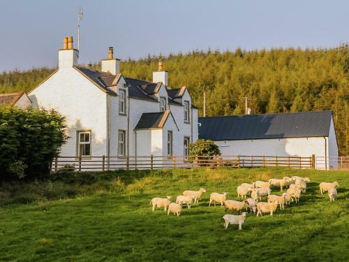 Diamonds Laggan