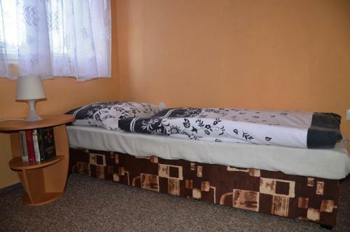 Hostal Penzion U Va?�??