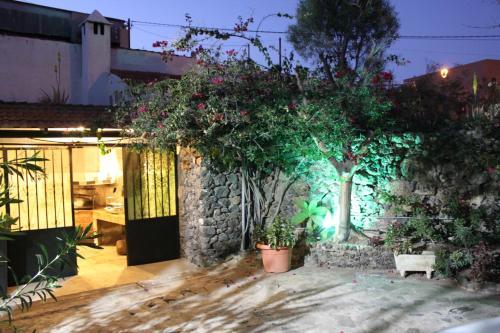 Casa Del Maestro