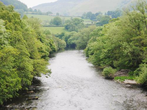 Bryn Awen