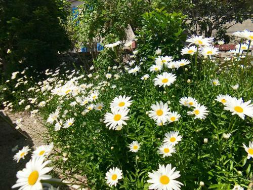 Bed & Breakfast Apparthotel - Le Downtown 1 � 6 Personnes
