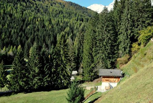 Chalet Bambi
