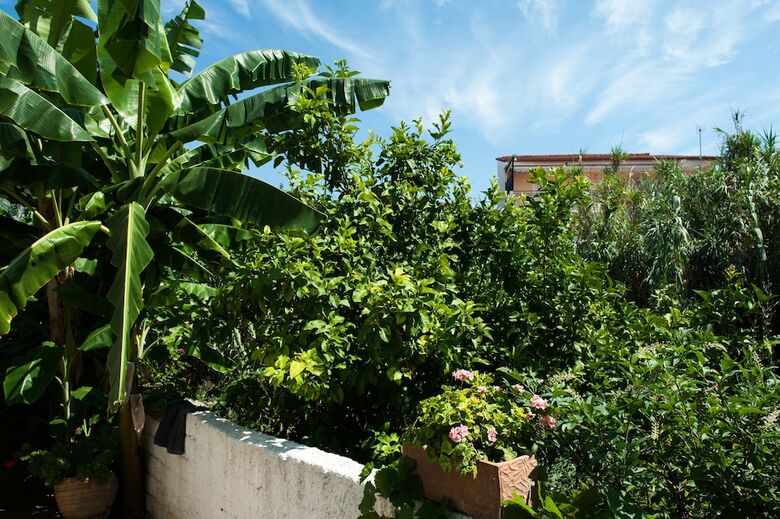 Apartamento Studios Margarita