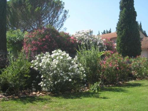 Bed & Breakfast Mas Du Puits