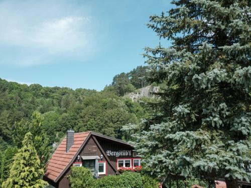 Holiday Home Bergfeld