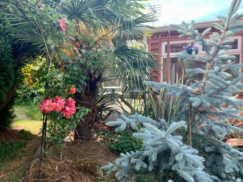 Woodpaddock Bed & Breakfast