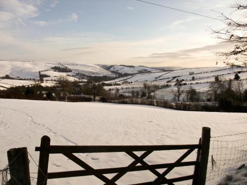Buckshead Eco Cottage