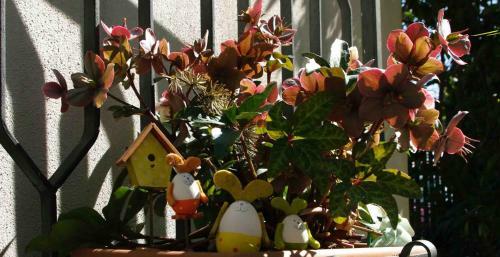 B&B Tre Conigli Sul Com�