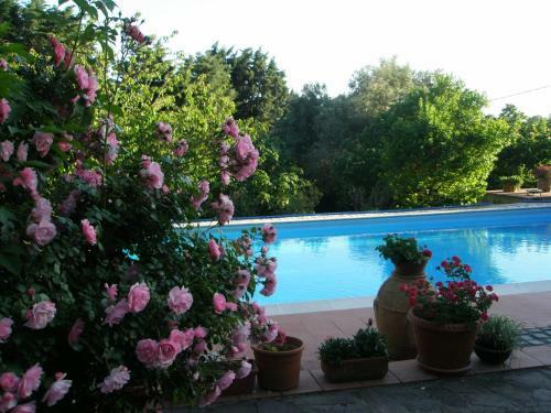 B&B Parco Di Veio