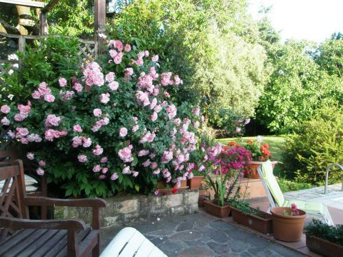 B&B Parco Di Veio