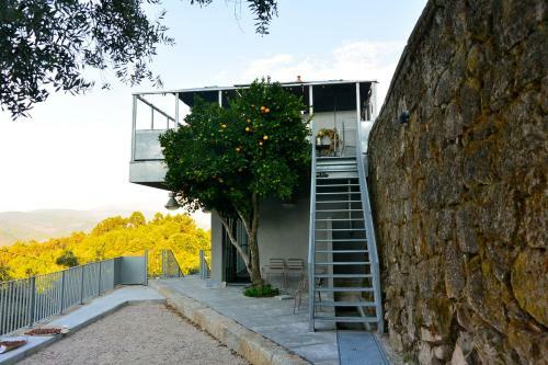 Bed & Breakfast Plano5