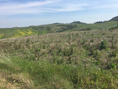 Hotel Cordella In Montalcino Wine Resort