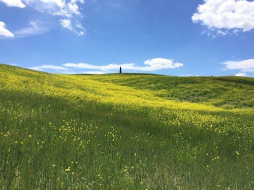 Hotel Cordella In Montalcino Wine Resort
