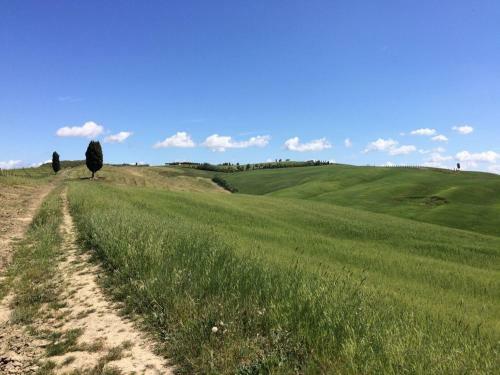 Hotel Cordella In Montalcino Wine Resort