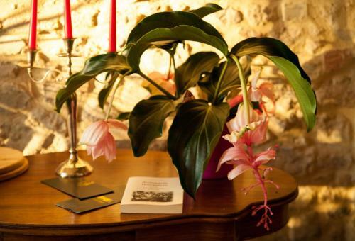 Hotel Cordella In Montalcino Wine Resort