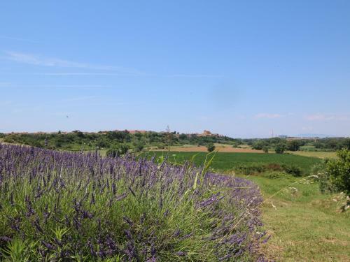 Holiday Home Sughera