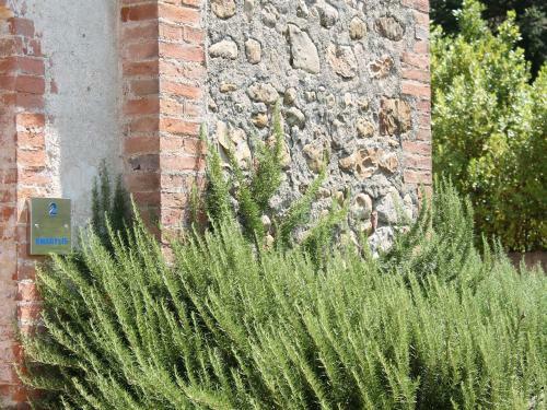 Apartment Amarante