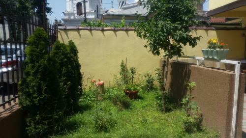 Hostal B&B Duo Caffe