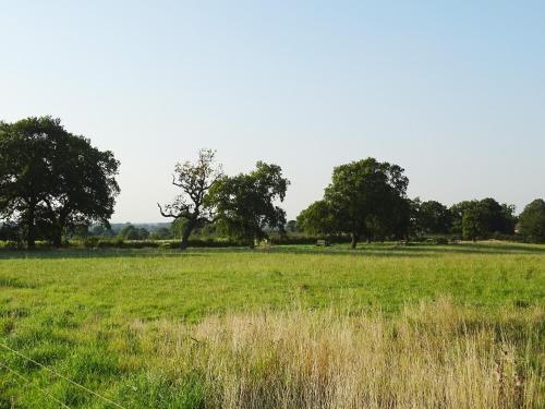 Emma's Dairy