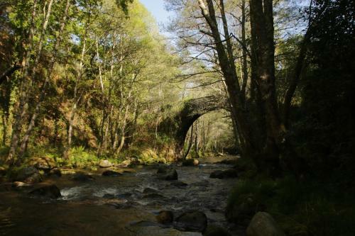 Agroturismo Douro Senses - Village House