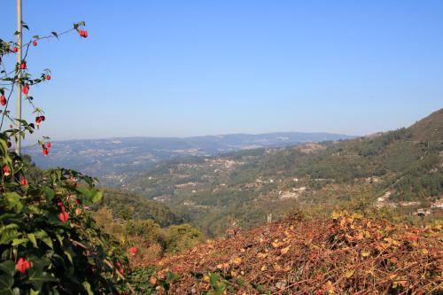 Agroturismo Douro Senses - Village House