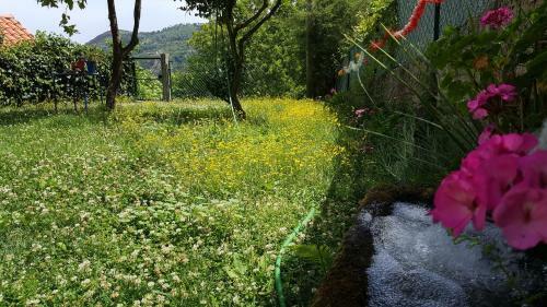 Agroturismo Douro Senses - Village House