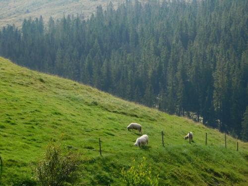 Hostal Spa & Wellness Penzi�n Zorhill