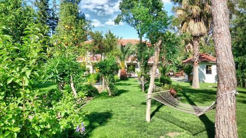 Hostal Dervi??han Pension