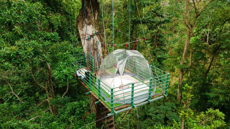Jungle Green House