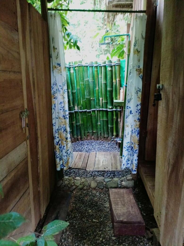 Jungle Green House