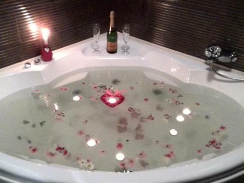 Hotel Raspberry Paradise
