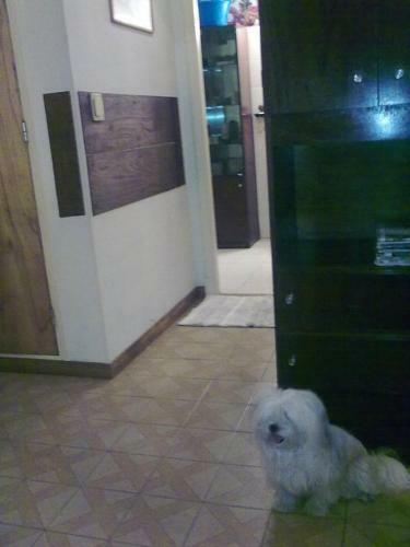Apartamento 1f Benito Lynch