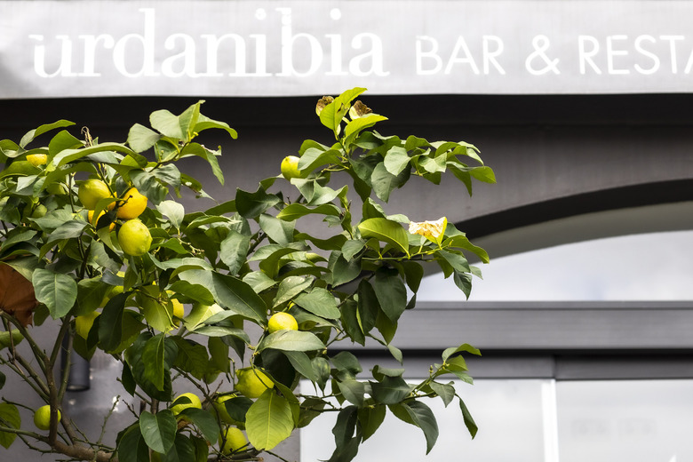 Hotel Urdanibia Park