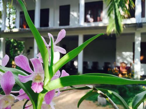 Sigiri Rainbow Lodge