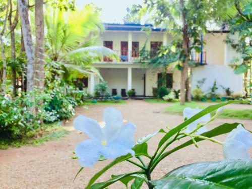 Sigiri Rainbow Lodge
