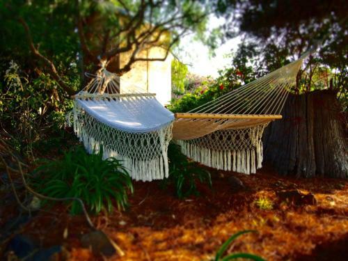 Bed & Breakfast Tilba Lake House