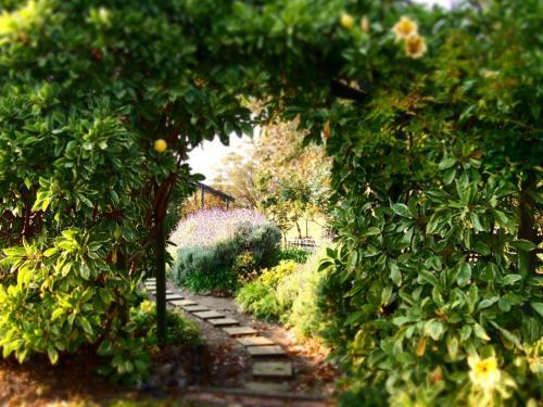 Bed & Breakfast Tilba Lake House
