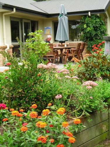 Maple House B&B