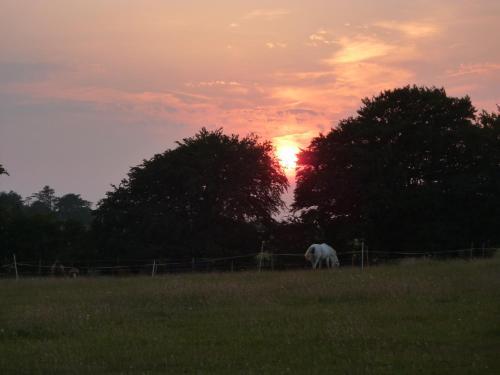 Ebborways Farm Bed And Breakfast