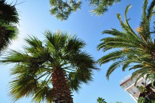Camping Villaggio Calypso