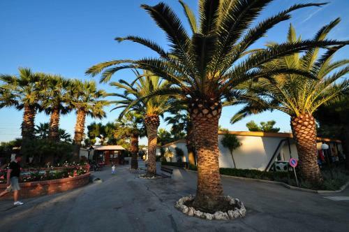 Camping Villaggio Calypso